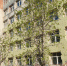 Редкие для Урала деревья зацветут на стройплощадке в Екатеринбурге - УралИнформБюро