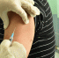 ВЦИОМ: каждый второй россиянин поддержал обязательную вакцинацию в Москве и Подмосковье - Уральский рабочий
