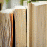 Детскую книгу о поволжских немцах изымают из библиотек Екатеринбурга - Национальный акцент