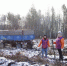 Волонтеры высадили более 1,2 тыс. деревьев в Свердловской области - EaNews.Ru