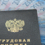 Трудовая книжка деньги взятка - ИА Уральский меридиан