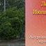 В этом мире происходит больше неожиданного, чем ожидаемого, поэтому не торопитесь 24 июля делать выводы - ИА Уральский меридиан