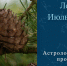 Если вы стремитесь к покою, то не надо 1 февраля шуметь и суетиться - ИА Уральский меридиан