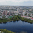В мэрии объяснили, почему спортсменам можно плавать в городском пруду Екатеринбурга - EaNews.Ru
