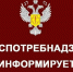 Роспотребнадзор о вступлении в силу Единых правил в области защиты прав потребителей - Администрация Кировского района