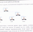 ИМФИ провел ежегодную Региональную олимпиаду по информатике для школьников - УрГПУ
