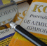Экономист Коган назвал «микроскопическим» эффект от налога на бездельников - GlobalEBURG.Ru