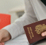 Екатеринбургские выпускники получили 84 стобалльных результата на ЕГЭ по 11 предметам - Четвертый канал