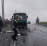 Семь человек пострадали в лобовом ДТП с автобусом и Kia в Ревде - ИА Уральский меридиан