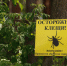 Внимание! Клещевой сезон продолжается - Администрация г. Екатеринбург