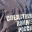 Следственным отделом по Чкаловскому району города Екатеринбург мужчина обвиняется в преступлении сексуального характера - Следственный комитет