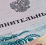 За долг по алиментам в 2 млн свердловчанин получил полгода работ - ОТВ