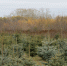 DSC07218.jpg - Городская Дума