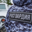 Росгвардия шеврон машина - ИА Уральский меридиан
