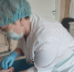 фото: ДИП - АПИ
