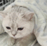 1 - News-TM.Ru