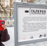 В Екатеринбурге открылась аллея молодых педагогов - Администрация г. Екатеринбург