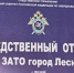 Житель Нижней Туры предстанет перед судом по обвинению в убийстве из хулиганских побуждений и покушении на убийство двух лиц - Следственный комитет