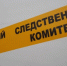 Следствием СК России в городе Сысерти возбуждено уголовное дело по факту нападения собаки на детей - Следственный комитет