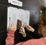 До основного этапа: 124 человека сдают ЕГЭ досрочно в Свердловской области - Уральский рабочий