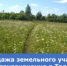 Продажа земельного участка сельхозназначения в Талицком муниципальном округе - Министерство по управлению госимуществом